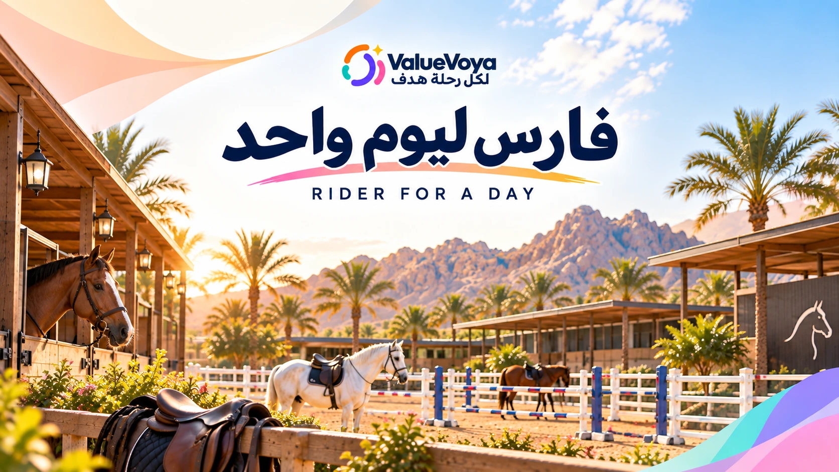 فارس ليوم واحد 🐎